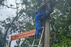 Khôi phục hoàn toàn mạng Vinaphone tại Quảng Ninh từ trưa 8/9