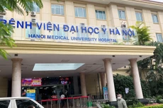 Ảnh chỉ mang tính minh họa. Nguồn Internet