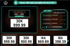Biển số 30K- 999.99 trúng đấu giá hơn 75,25 tỷ đồng