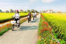 Kết quả tổng điều tra nông thôn, nông nghiệp năm 2025 được công bố chính thức vào tháng 3/2026