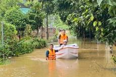 Ảnh chỉ mang tính minh họa. Nguồn Internet
