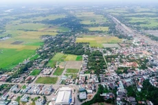 Ảnh chỉ mang tính minh họa. Nguồn Internet