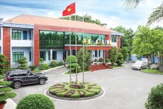 Ảnh chỉ mang tính minh họa. Nguồn Internet