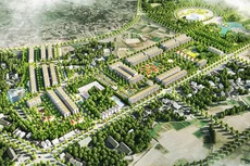 Ảnh chỉ mang tính minh họa. Nguồn Internet