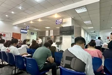 Một phiên đấu giá đất tại Hoài Đức