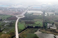 Ảnh chỉ mang tính minh họa. Nguồn Internet