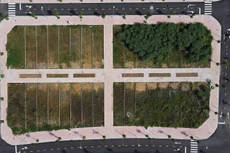 Bản tin thời sự sáng 9/10