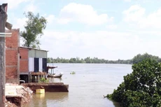 Ảnh chỉ mang tính minh họa. Nguồn Internet