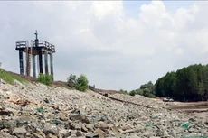 Ảnh chỉ mang tính minh họa. Nguồn Internet