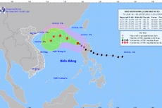 Đường đi của bão số 8