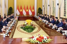 Chủ tịch nước Võ Văn Thưởng và Tổng thống Indonesia Joko Widodo dẫn đầu đoàn cấp cao hai nước tiến hành hội đàm.