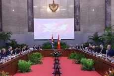 Tổng Bí thư, Chủ tịch nước Tô Lâm hội đàm với Bí thư thứ nhất Đảng Cộng sản Cuba, Chủ tịch Cuba Miguel Diaz Canel Bermudez. Ảnh: TTXVN