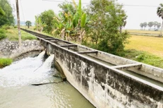 Ảnh chỉ mang tính minh họa. Nguồn Internet