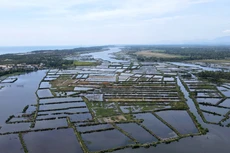 Ảnh chỉ mang tính minh họa. Nguồn Internet