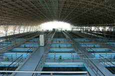 Ảnh chỉ mang tính minh họa. Nguồn Internet