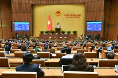 Với 454/465 đại biểu tham gia biểu quyết tán thành (chiếm 93,42%), Quốc hội đã thông qua Luật Bảo hiểm xã hội (sửa đổi).