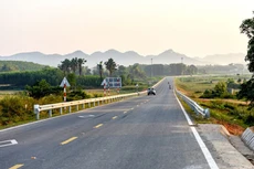 Ảnh chỉ mang tính minh họa. Nguồn Internet