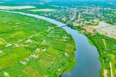 Ảnh chỉ mang tính minh họa. Nguồn Internet