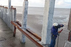 Ảnh chỉ mang tính minh họa. Nguồn Internet