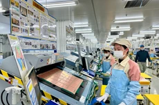 Ảnh chỉ mang tính minh họa. Nguồn Internet