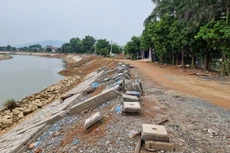 Ảnh chỉ mang tính minh họa. Nguồn Internet