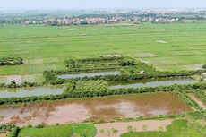 Đấu thầu chọn nhà đầu tư dự án có sử dụng đất với đất chưa giải phóng mặt bằng là rất cần thiết