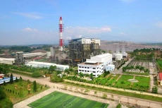 Ảnh chỉ mang tính minh họa. Nguồn Internet