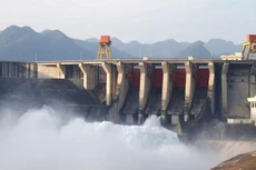 Ảnh chỉ mang tính minh họa. Nguồn Internet