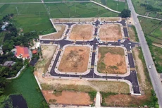 Ảnh chỉ mang tính minh họa. Nguồn Internet