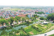 Ảnh chỉ mang tính minh họa. Nguồn Internet