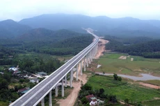 Ảnh chỉ mang tính minh họa. Nguồn Internet