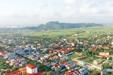 Ảnh chỉ mang tính minh họa. Nguồn Internet