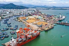 Ảnh chỉ mang tính minh họa. Nguồn Internet