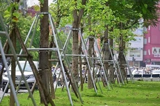 Ảnh chỉ mang tính minh họa. Nguồn Internet