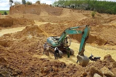 Ảnh chỉ mang tính minh họa. Nguồn Internet