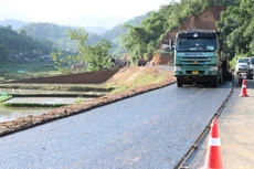 Ảnh chỉ mang tính minh họa. Nguồn Internet