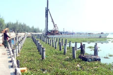 Ảnh chỉ mang tính minh họa. Nguồn Internet