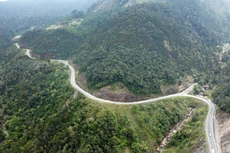 Ảnh chỉ mang tính minh họa. Nguồn Internet