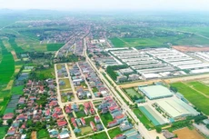 Ảnh chỉ mang tính minh họa. Nguồn Internet