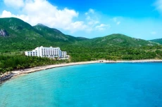 Ảnh chỉ mang tính minh họa. Nguồn Internet