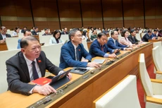 Đại biểu Quốc hội ấn nút biểu quyết tại Kỳ họp bất thường lần thứ 5