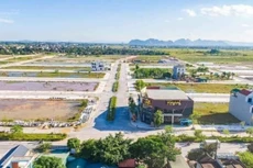 Ảnh minh họa: Internet 