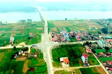 Ảnh chỉ mang tính minh họa. Nguồn Internet