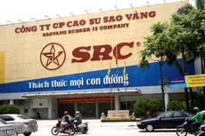 Các doanh nghiệp sản xuất lốp xe như Cao su Đà Nẵng hay Cao su Sao Vàng đang phải chịu áp lực cạnh tranh ngày càng tăng. Ảnh: Lê Tiên