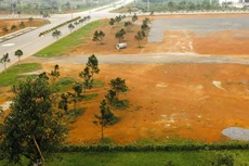 Sơn La là một trong số ít địa phương có số lượng dự án sử dụng đất lựa chọn nhà đầu tư theo hình thức đấu thầu rộng rãi áp đảo chỉ định thầu. Ảnh: Xuân Trường