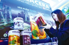 Việc ban hành quy định với các tiêu chí rõ ràng sẽ giúp các doanh nghiệp chân chính không phải đối diện với nguy cơ bị cáo buộc gian lận xuất xứ. Ảnh: Lê Tiên