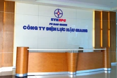 Do nghi ngờ chứng chỉ sơ cấp nghề của 1 nhân sự là giả nên Công ty Điện lực Hậu Giang yêu cầu nhà thầu cung cấp mã số bảo hiểm xã hội để xác minh. Ảnh: NC st