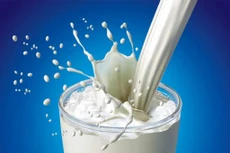 Điểm tin kế hoạch lựa chọn nhà thầu một số gói thầu lớn ngày 05-07/07