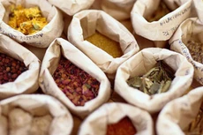 Điểm tin kế hoạch lựa chọn nhà thầu một số gói thầu lớn ngày 31/07