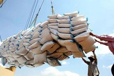 Điểm tin kế hoạch lựa chọn nhà thầu một số gói thầu lớn ngày 01/02 - 11/02